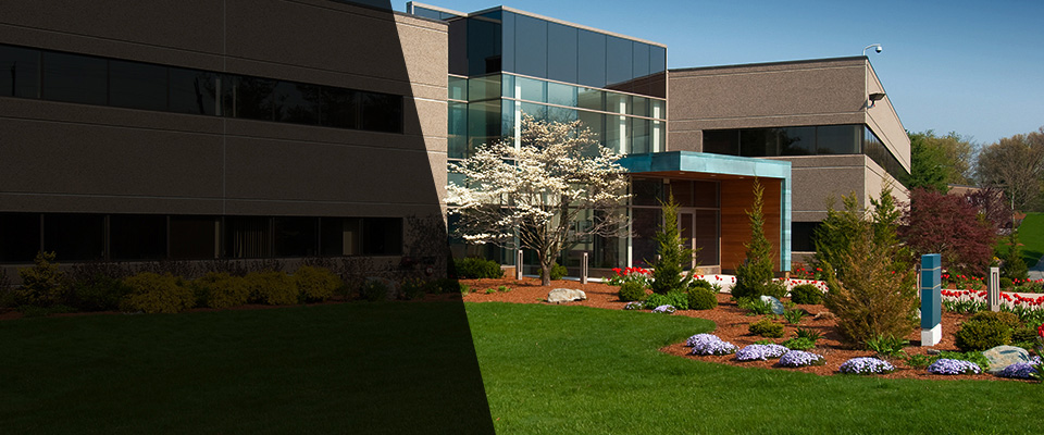 Atlantic Beach Landscapers