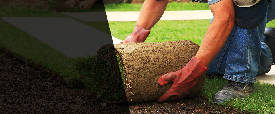 Atlantic Beach Landscapers